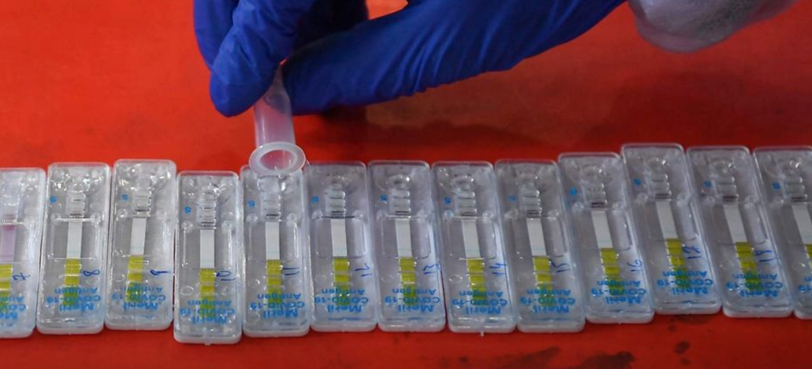 Laboratoire Test Pcr Saint Germain En Laye
